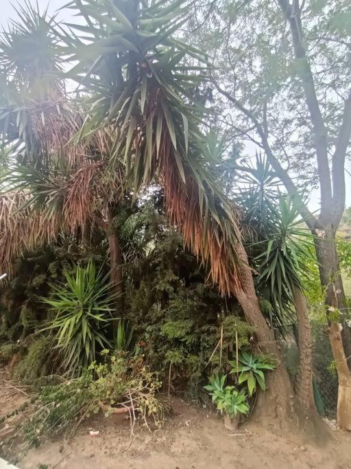 Casa Rural En El Campo Con Animales, Piscina Y Barbacoa Almodóvar del Río Esterno foto