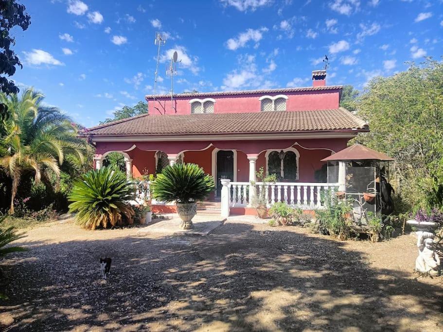 Casa Rural En El Campo Con Animales, Piscina Y Barbacoa Almodóvar del Río Esterno foto