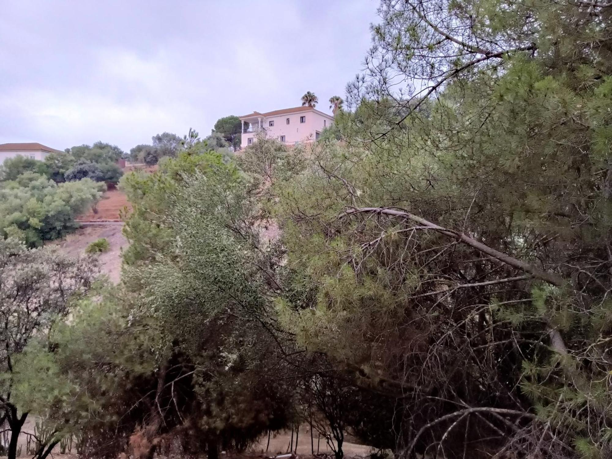 Casa Rural En El Campo Con Animales, Piscina Y Barbacoa Almodóvar del Río Esterno foto